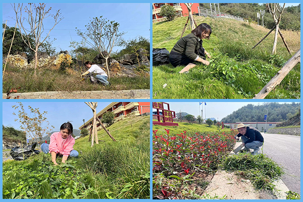 1667262565113964.png 圖片54.png