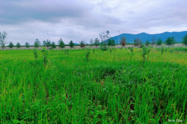 1694565720254925.png 圖片1.png