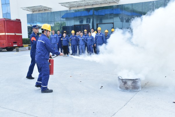 1732084535404304.jpg 3.jpg