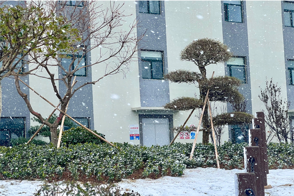 初雪1.jpg